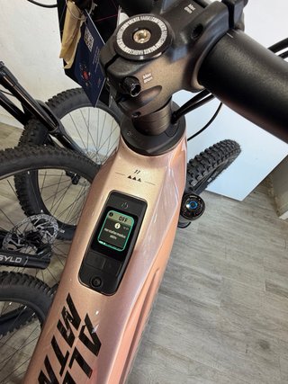 Haibike Allmtn CF 11 Motor Pinion 800Wh