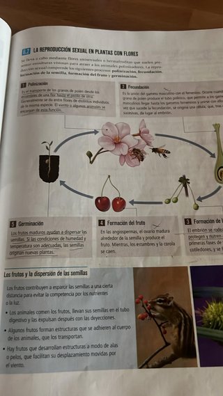 Biología Y Geología 1 Secundaria