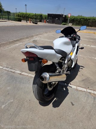Honda CBR600F4I 2004 Blanca