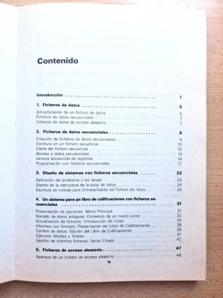 Programación de ficheros de datos para el IBM PC
