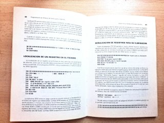 Programación de ficheros de datos para el IBM PC