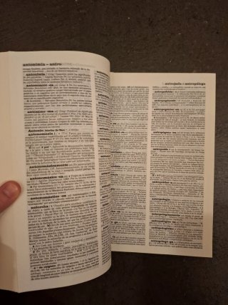 Diccionario del español actual