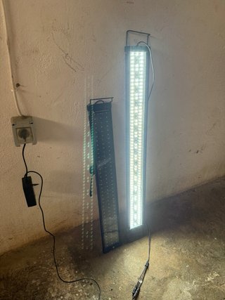 Pantallas LED para acuario