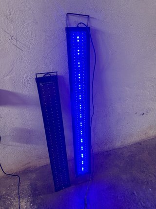 Pantallas LED para acuario
