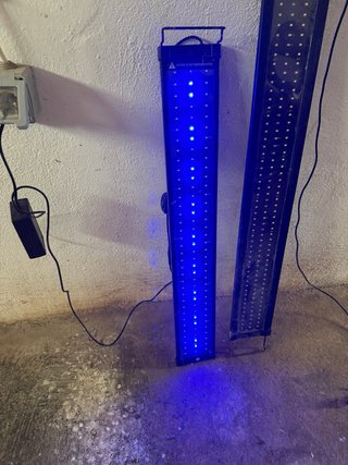 Pantallas LED para acuario