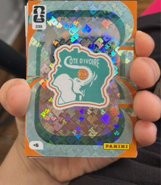 Carta Panini FIFA Costa de Marfil 239