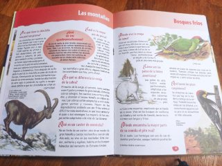 Gran libro de el porqué de las cosas