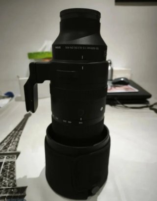 Sigma 150-600mm F5-6.3 DG DN OS