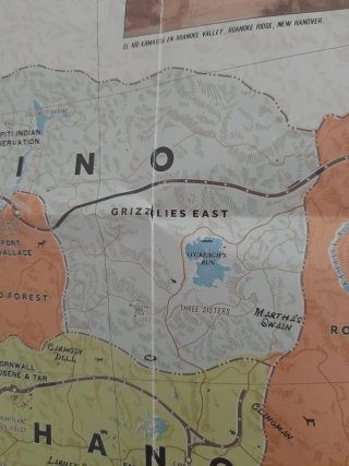 Mapa / póster Red Dead Redemption II