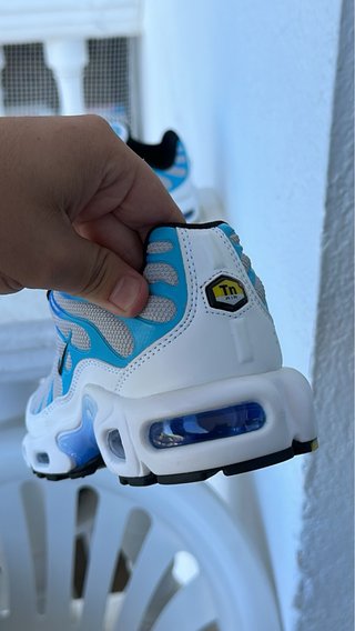 Nike TN Air Max Plus Gris y Azul
