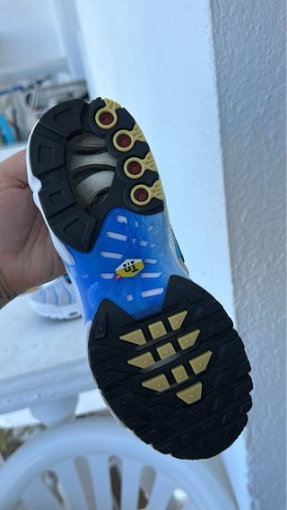 Nike TN Air Max Plus Gris y Azul