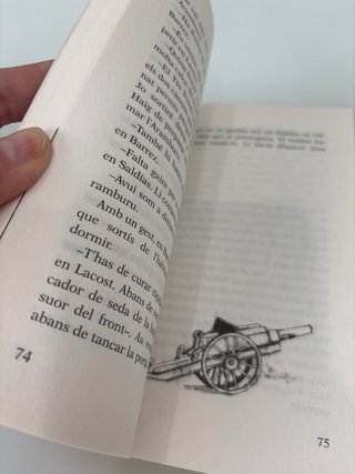 Un espia anomenat Sara