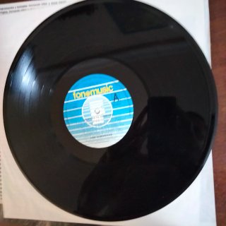 LP 1992 PUNKROCK Los Albañiles Objetivo Tu Hermana