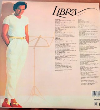Julio Iglesias Disco Vinilo