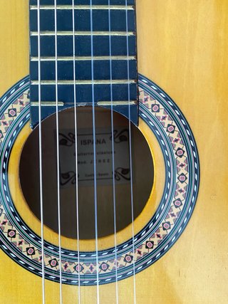 Guitarra Clásica Electrificada con estuche.
