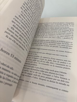 Camps de maduixes