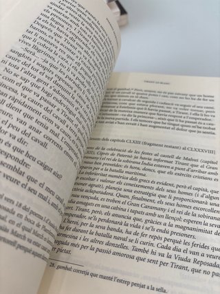 Tirant lo Blanc episodis amorosos