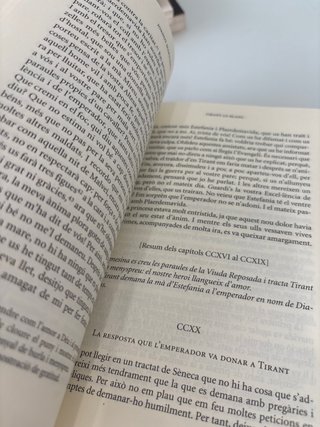 Tirant lo Blanc episodis amorosos