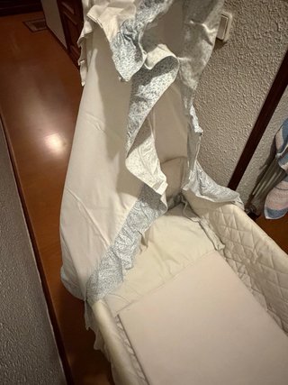 Moisés para bebé con dosel