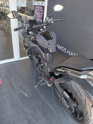ZONTES 350 X