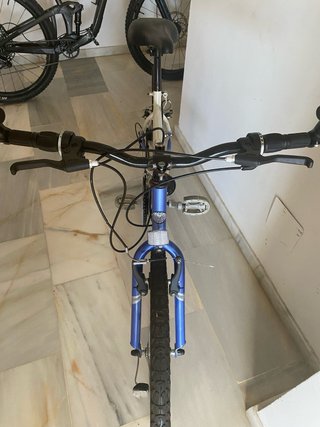 Bicicleta Laurens Traction