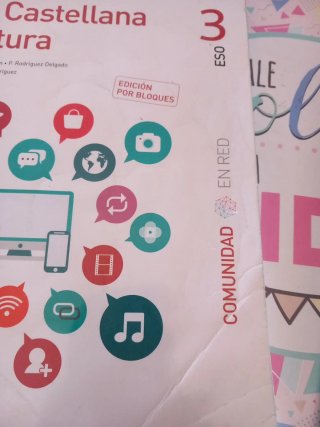 Lengua castellana y literatura