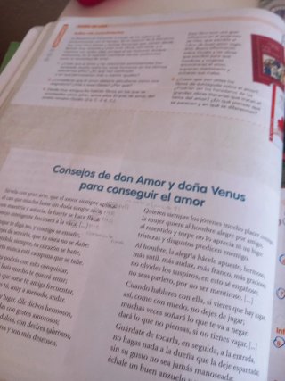 Lengua castellana y literatura