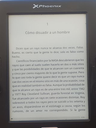 Ebook, E-reader, lettore elettronico, Phoenix