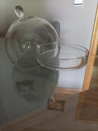 Tartera/quesera de cristal