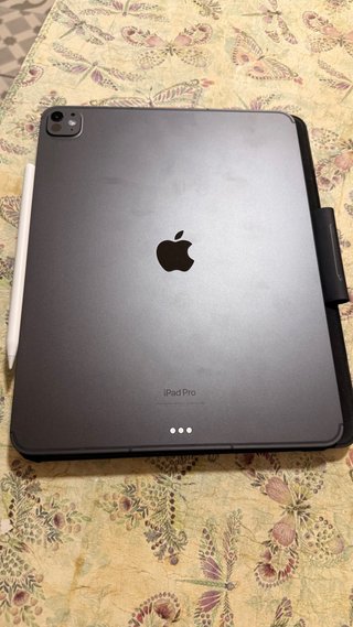 iPad Pro M4 1TB + LTE Plata