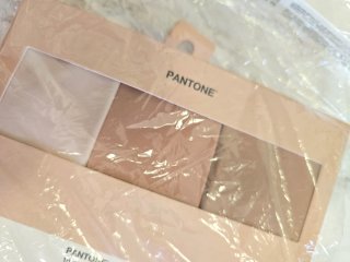 Braguita Oysho Talla M Clásica Beige