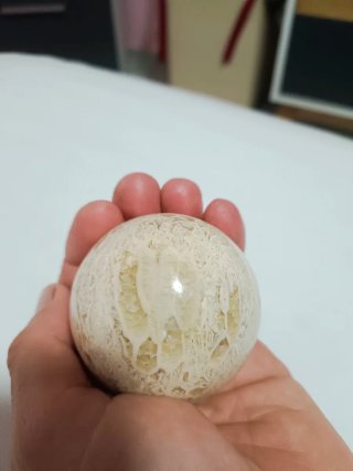 Bola de coral fósil