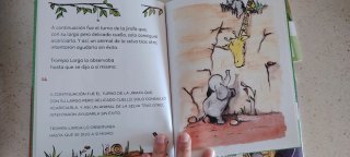 Libros para aprender a leer