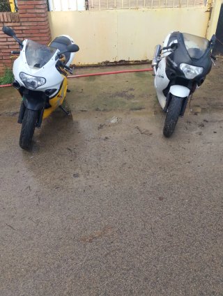 Triumph TT600 Sportbike Blanca y Amarilla