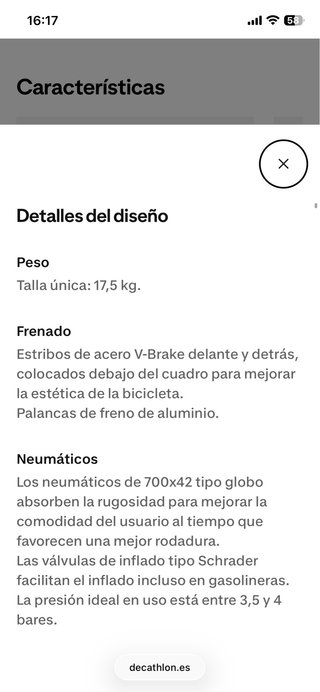 Bicicleta de paseo azul