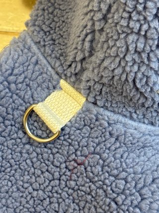 Chaqueta Tiburón Perro Gato Azul/Gris