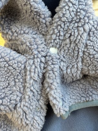 Chaqueta Tiburón Perro Gato Azul/Gris