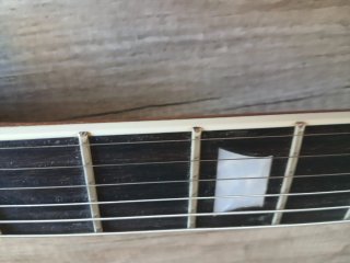 Guitarra Eléctrica Tipo LP