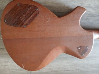 Guitarra Eléctrica Tipo LP