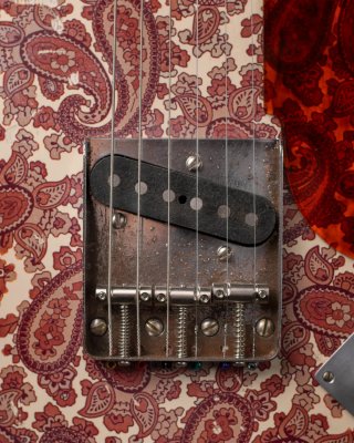 Telecaster Paisley