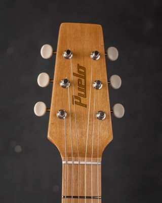 Telecaster Paisley