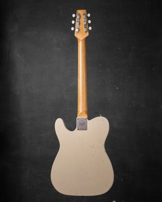 Telecaster Paisley