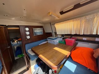 Playvisa Tornado 31