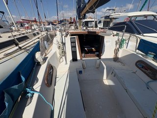 Playvisa Tornado 31
