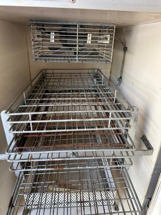 Incubadora de pollos Masalles