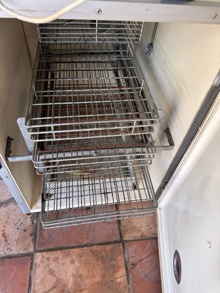 Incubadora de pollos Masalles