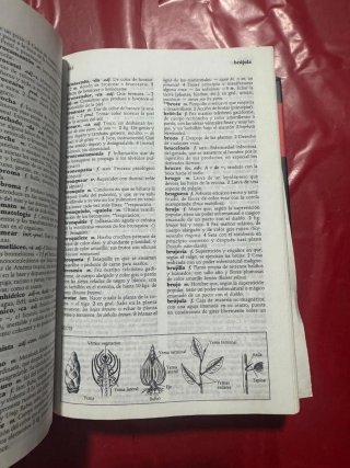 Diccionario manual