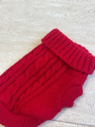 Jersey para perro o gato rojo