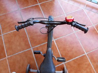 Bicicleta infantil 12 con ruedines
