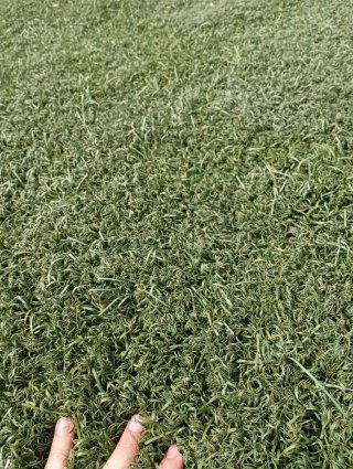 Césped artificial verde